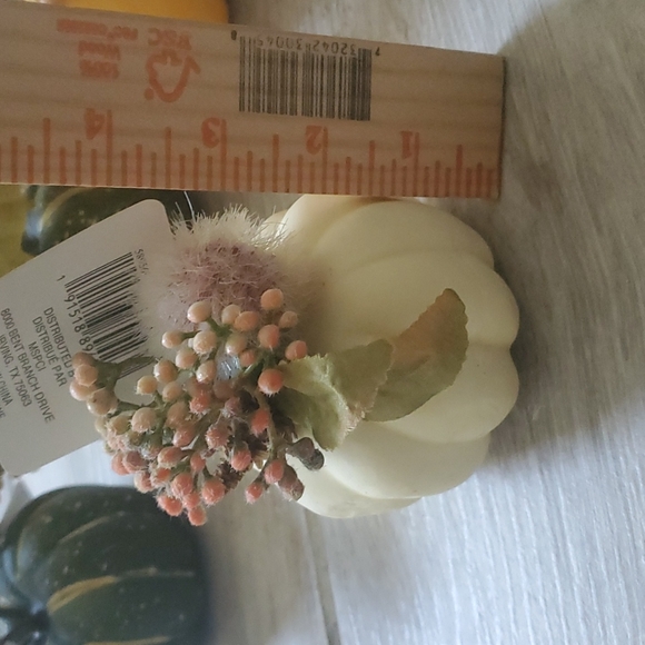 NWT 4 Ashland Mini tabletop Pumpkins - Picture 10 of 12